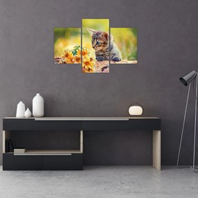 Tablou cu pisicuța uitându-se la floare (90x60 cm)