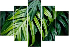 Tablou - Frunze tropicale (150x105 cm)