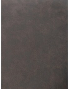 Set de scaune de sufragerie gri 2 buc. tapițat Alison – Rowico