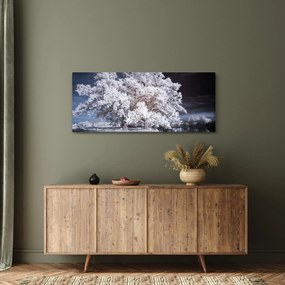 Tablou - Albă ca Zăpada Copac (120x50 cm)