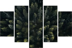 Tablou - Pădure (150x105 cm)
