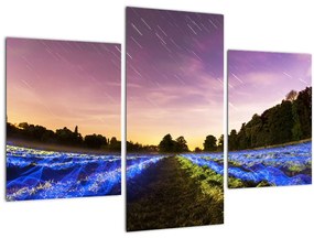 Tablou cu câmp colorat (90x60 cm)
