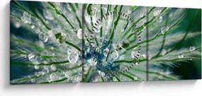 Tablou - Imagine macro a unei flori (cu ceas) (90x30 cm)