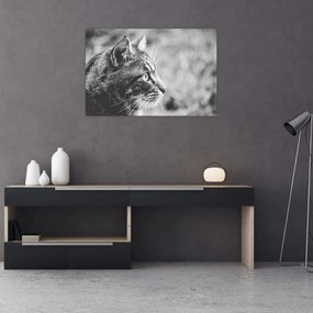 Tablou - Pisica (90x60 cm)