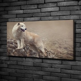 Tablou canvas Lup alb pe stâncă
