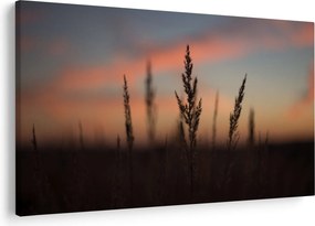 Tablou - Silueta plantei (90x60 cm)