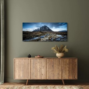 Tablou cu munții și tigrul (120x50 cm)