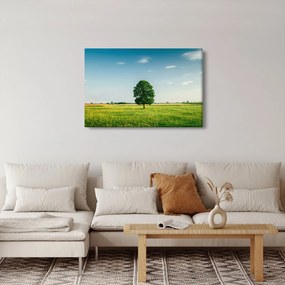 Tablou cu copaci pe luncă (90x60 cm)