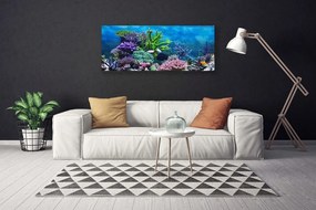 Tablou pe panza canvas Coral Reef Natura Multi