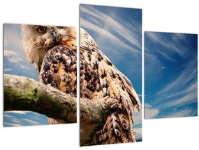 Tablou - Bufniță (90x60 cm)