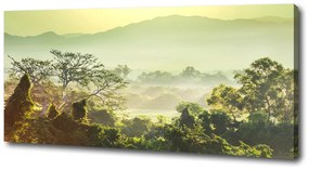 Tablou pe pânză canvas Junglă