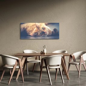 Tablou - Pisici pe podea (120x50 cm)