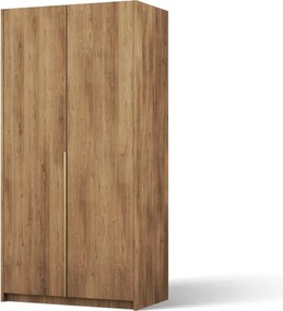 Dulap Bregma II cu uși batante – 2 uși – 100x58x204 cm – Stejar Artisan – Varianta 2