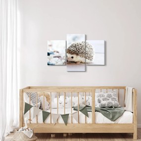 Tablou cu arici (90x60 cm)