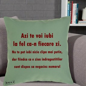 Cadou pentru Iubita - Perna Personalizata Azi Te Voi Iubi, 40x40 cm, Verde, Husa Detasabila, Perna Inclusa, BEKZ®