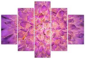 Tablou detailat cu floare (150x105 cm)