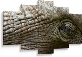 Tablou - Prim-planul ochiului de elefant vechi (150x105 cm)