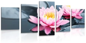 Tablou 5-piese floare de lotus în lac