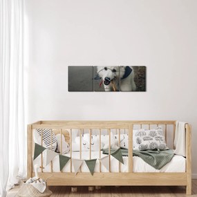 Tablou cu câinele alb (cu ceas) (90x30 cm)