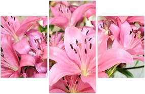 Tablou - Liliac roz (90x60 cm)