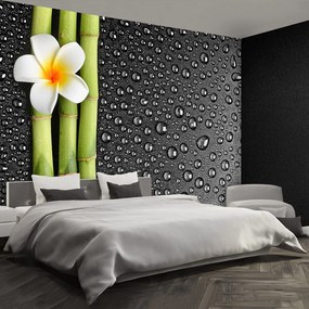 Fototapet frangipani flori