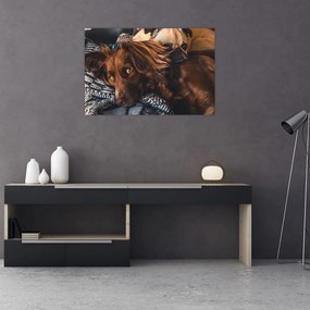 Tablou cu câini dormind (90x60 cm)