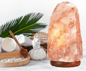 Lampă de sare SALLY 1xE14/25W/230V