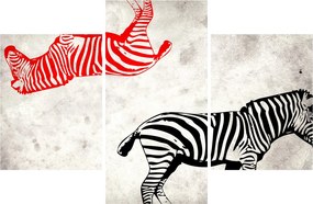 Tablou - Zebre (90x60 cm)