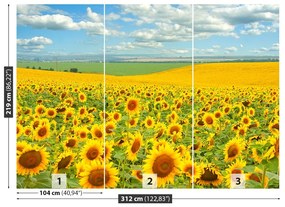 Fototapet Domeniu de Sunflowers