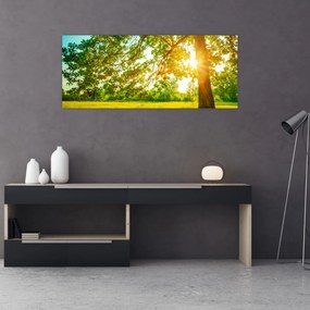 Tablou - Pădurea însorită (120x50 cm)