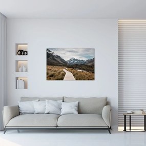 Tablou - Poteca în valea muntelui Mt. Cook (90x60 cm)