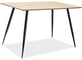Masa Stejar / Negru, REMUS 120X80