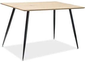 Masa Stejar / Negru, REMUS 120X80