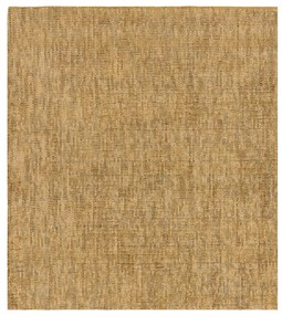 Covor galben 230x160 cm Aston - Asiatic Carpets