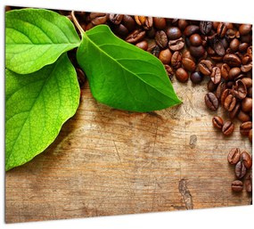 Tablou pe sticlă - Cafea (70x50 cm)