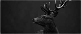 Tablou - Portret de căprioară (120x50 cm)