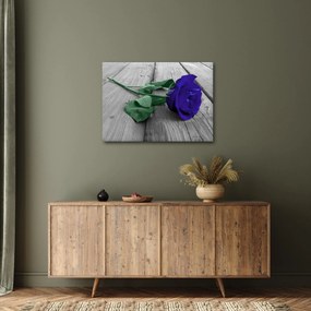 Tablou - Trandafir albastru cu tulpina verde (70x50 cm)