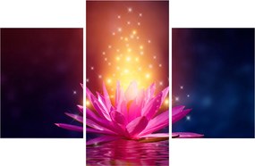 Tablou cu lotus pe apă (90x60 cm)