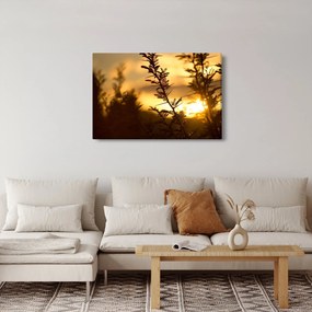 Tablou - Apus de soare (90x60 cm)
