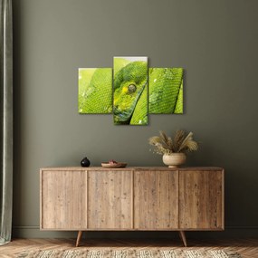 Tablou cu șarpe (90x60 cm)