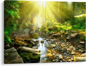 Tablou cu râul în pădurea verde (70x50 cm)