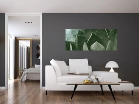 Tablou - Agave verde (120x50 cm)
