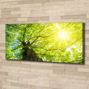 Imprimare tablou canvas Primăvară castan
