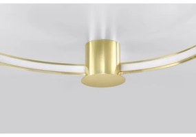 Plafonieră LED RIO LED/50W/230V CRI90 3000K d. 78 cm auriu Thoro TH.252