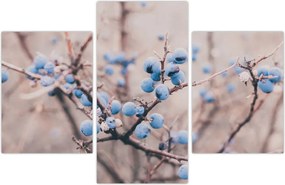 Tablou cu fructe pe tufiș (90x60 cm)