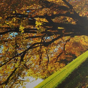 Tablou cu toamna (70x50 cm)