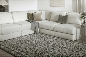 Covor gri antracit din lână 200x300 cm Agnus Classic – Agnella