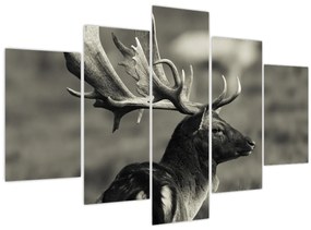 Tablou - Cerb (150x105 cm)