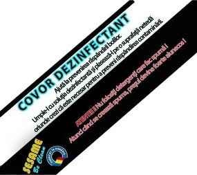 Covoras Intrare Dezinfectant 55x40x3 cm, Material Impermeabil