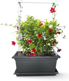 Suport vertical Gardenico Green Wall Magnus, 80cm, 80 cm